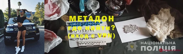 шишки Белокуриха