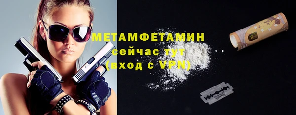 шишки Белокуриха