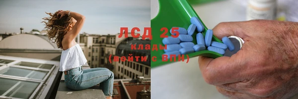 шишки Белокуриха
