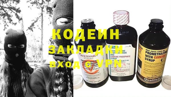 шишки Белокуриха