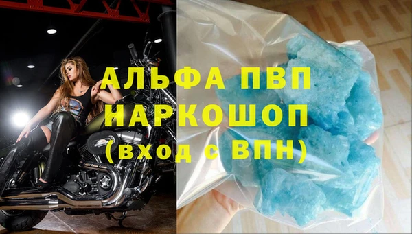 шишки Белокуриха