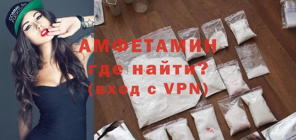 шишки Белокуриха