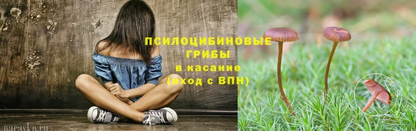 шишки Белокуриха
